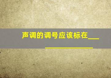 声调的调号应该标在________________