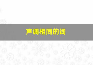 声调相同的词