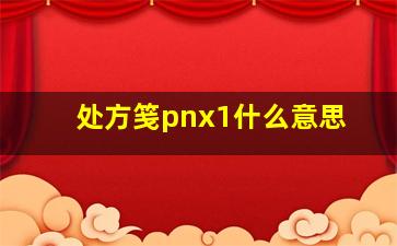 处方笺pnx1什么意思