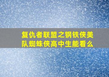 复仇者联盟之钢铁侠美队蜘蛛侠高中生能看么