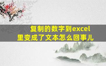 复制的数字到excel里变成了文本怎么回事儿