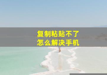 复制粘贴不了怎么解决手机