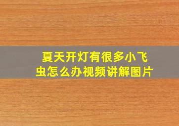 夏天开灯有很多小飞虫怎么办视频讲解图片