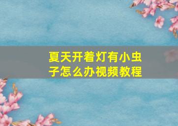 夏天开着灯有小虫子怎么办视频教程