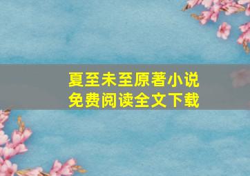 夏至未至原著小说免费阅读全文下载