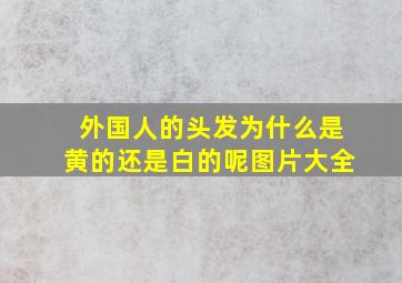 外国人的头发为什么是黄的还是白的呢图片大全