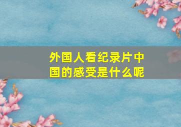 外国人看纪录片中国的感受是什么呢