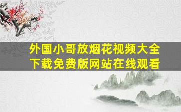 外国小哥放烟花视频大全下载免费版网站在线观看