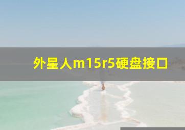 外星人m15r5硬盘接口