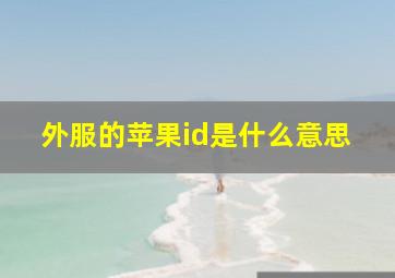 外服的苹果id是什么意思