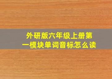 外研版六年级上册第一模块单词音标怎么读