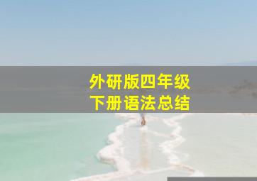 外研版四年级下册语法总结