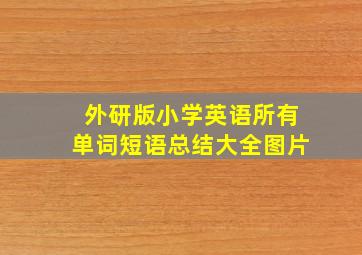 外研版小学英语所有单词短语总结大全图片