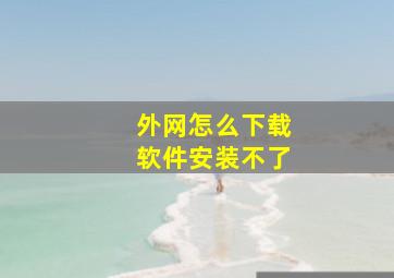 外网怎么下载软件安装不了