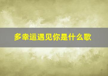 多幸运遇见你是什么歌