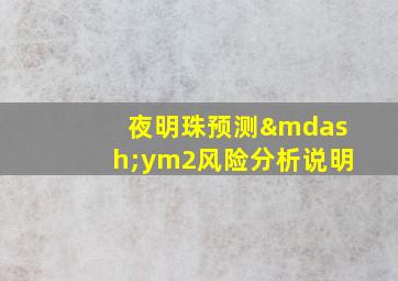 夜明珠预测—ym2风险分析说明