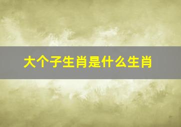 大个子生肖是什么生肖