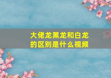 大佬龙黑龙和白龙的区别是什么视频