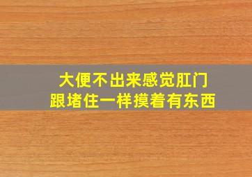 大便不出来感觉肛门跟堵住一样摸着有东西