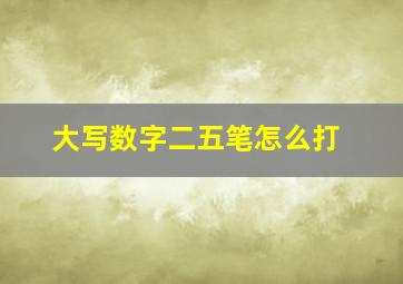 大写数字二五笔怎么打