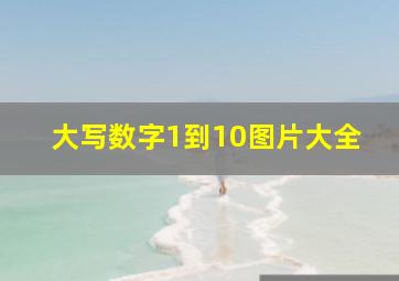 大写数字1到10图片大全