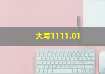 大写1111.01