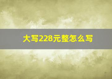 大写228元整怎么写