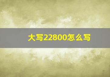 大写22800怎么写