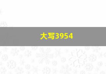 大写3954