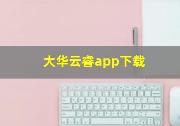 大华云睿app下载