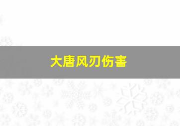 大唐风刃伤害