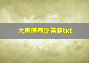 大国医春溪笛晓txt