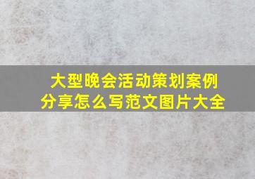 大型晚会活动策划案例分享怎么写范文图片大全