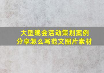 大型晚会活动策划案例分享怎么写范文图片素材