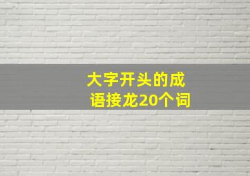 大字开头的成语接龙20个词