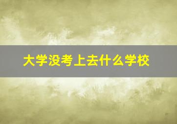 大学没考上去什么学校