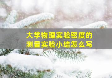 大学物理实验密度的测量实验小结怎么写