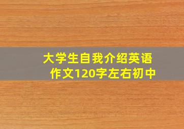 大学生自我介绍英语作文120字左右初中