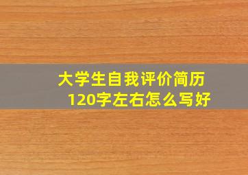 大学生自我评价简历120字左右怎么写好