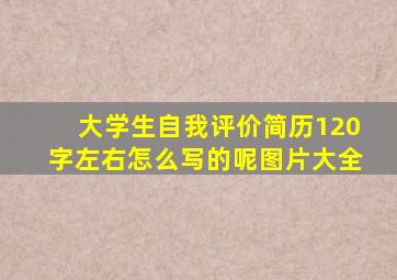 大学生自我评价简历120字左右怎么写的呢图片大全