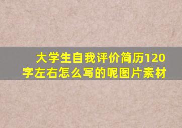 大学生自我评价简历120字左右怎么写的呢图片素材