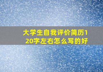 大学生自我评价简历120字左右怎么写的好