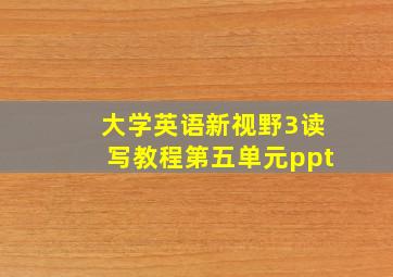 大学英语新视野3读写教程第五单元ppt