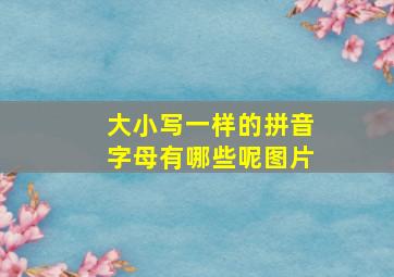 大小写一样的拼音字母有哪些呢图片