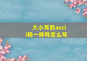 大小写的ascii码一样吗怎么写