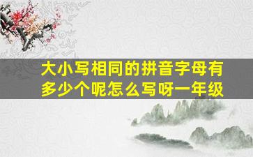 大小写相同的拼音字母有多少个呢怎么写呀一年级