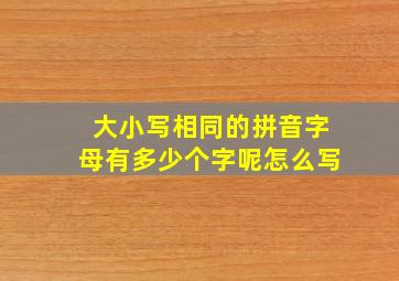 大小写相同的拼音字母有多少个字呢怎么写