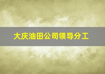 大庆油田公司领导分工