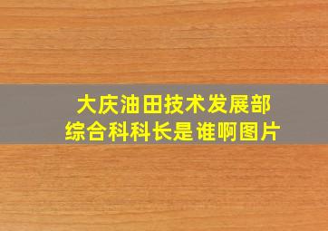 大庆油田技术发展部综合科科长是谁啊图片