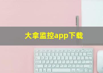 大拿监控app下载